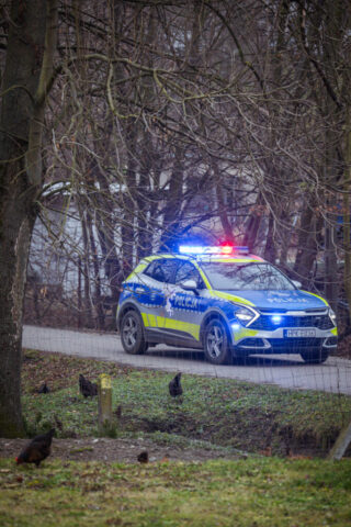 bieg-dla-zycia (163)